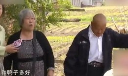 老大妈离婚大爷爆料新闻,老大妈离婚大爷背后的惊人真相